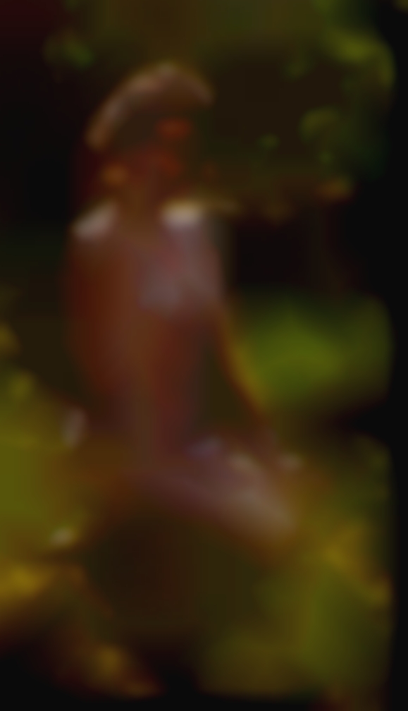 How to adult locate meeting vigina in frst night?
